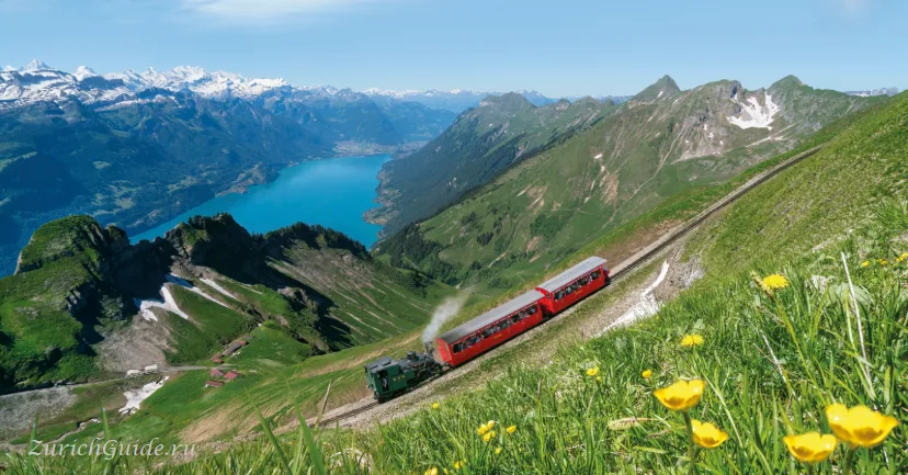 A steam rack railway climbing the Brienzer Rothorn above the lake
