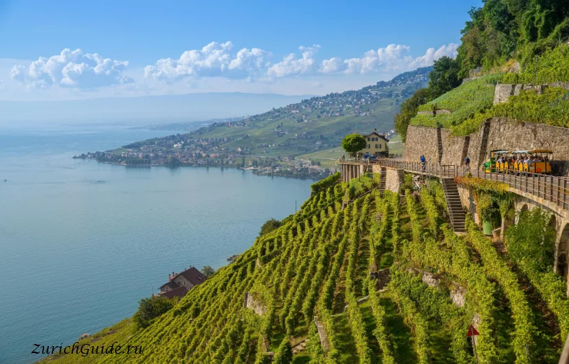 A path through the Lavaux vineyard terraces above the lake
